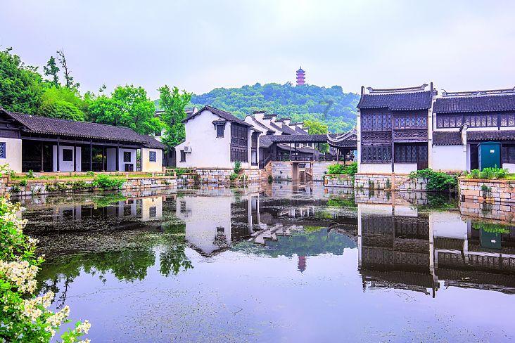 救援蝙蝠